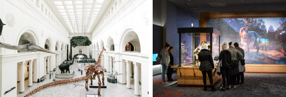 フィールド自然史博物館